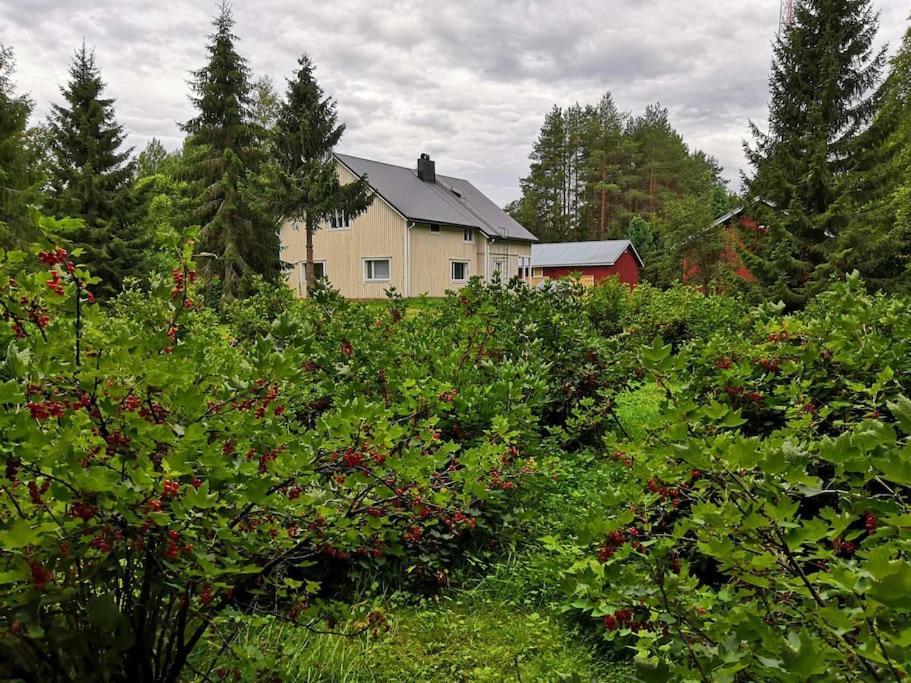 Mukava Mummonmoekki Maaseudun Rauhassa Villa Koivu Bagian luar foto