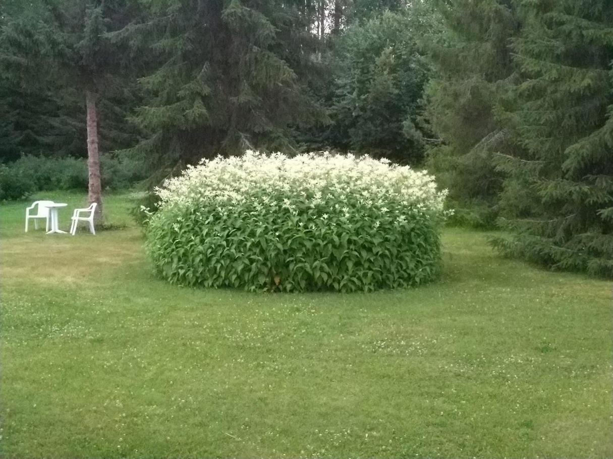 Mukava Mummonmoekki Maaseudun Rauhassa Villa Koivu Bagian luar foto